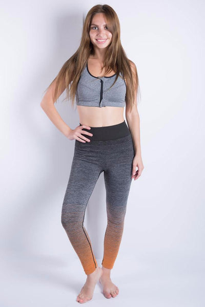 Ombre Training Tights