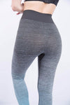 Ombre Training Tights
