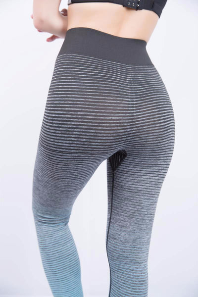 Ombre Training Tights