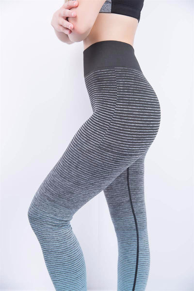 Ombre Training Tights