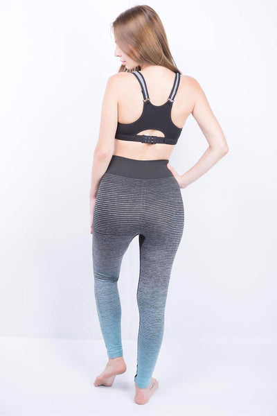 Ombre Training Tights