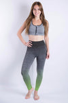 Ombre Training Tights